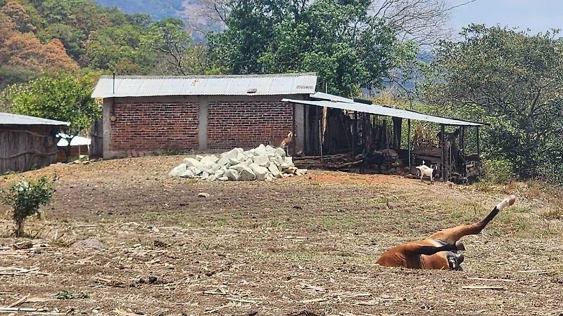chilapa-ataques-explosivos